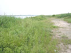 �����剁���|