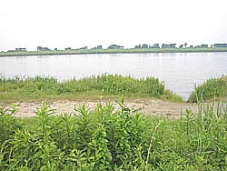 �����剁���|