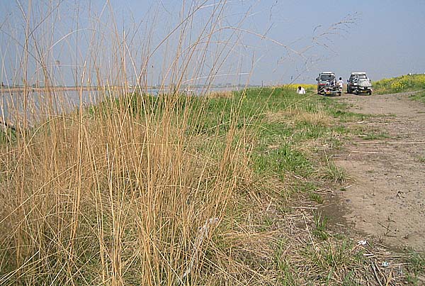 05'�����剁���| Part1