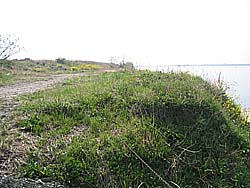 �����剁���|