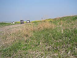 �����剁���|