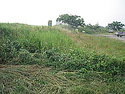 �����剁���|