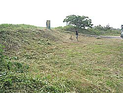 �����剁���|