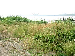 �����剁���|