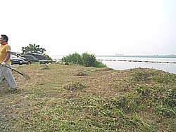 �����剁���|