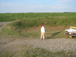 �����剁���|