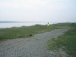 �����剁���|