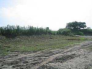 �����剁���|