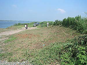 �����剁���|