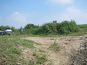 �����剁���|