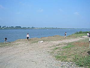 �����剁���|