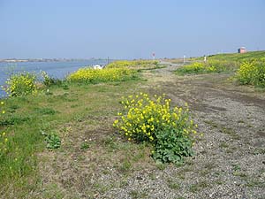 �����剁���|