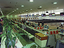 �{�E�����O���̗l�q