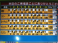 �{�E�����O���̗l�q