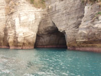 �����������Ă��܂����B