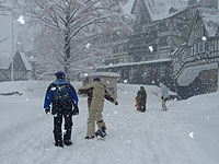 ���[�Q�b�V��