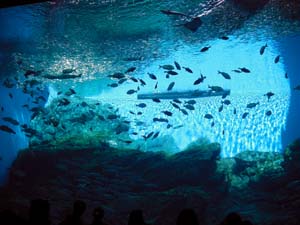 ���݂̓m������