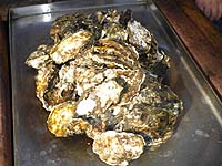 ���������@�C�N��