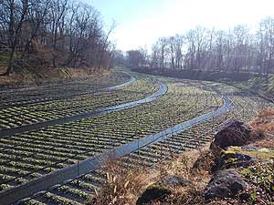 �剤�킳�є_��