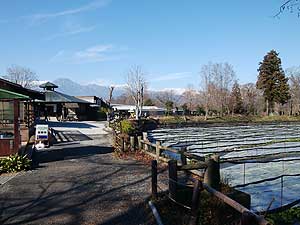 大王わさび農場