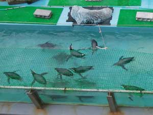 ����������