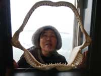 ����������