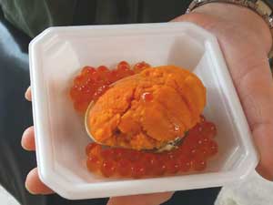 ��E��E�~���E