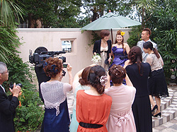 �V�Y�V�w ���F������̓���