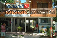 �{���J�C���@�V�[�K�C��