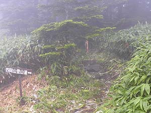 �l���R�ւ̕W��