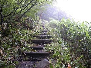 �ؒi�̓���i�ށB