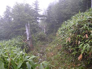 �W������̓��B