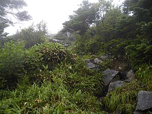 �⍬����̋}��