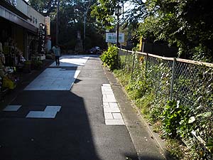 �Q����i�񂾁B