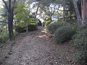 ���́A������Ă���`