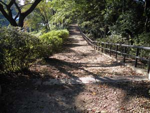 �X�ɁA���͑����Ă����B