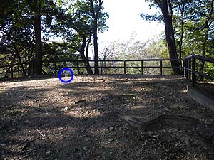 �����ȍL��