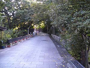 �Q���ւƐi�񂾁B