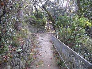 �����ɑ�������i�񂾁B