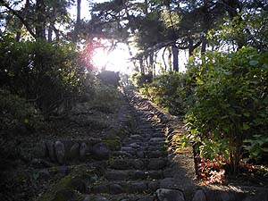 �K�i������