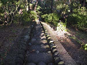 �R������̓o�R���B