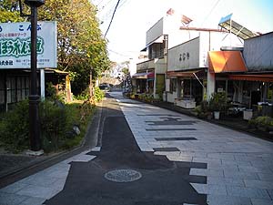 �X�ɎQ����i��