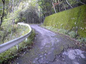 �A�X�t�@���g�̓���i��