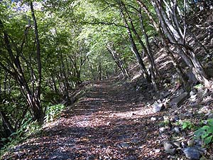 �����ؒi��i��