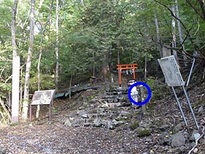 ��m����(�o�R��)