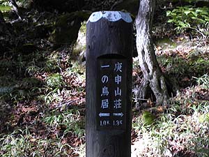 �W�������ꂽ�B