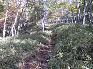 �m���傩��̓o�R���B