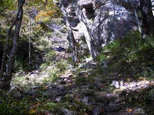 ��̑������}��