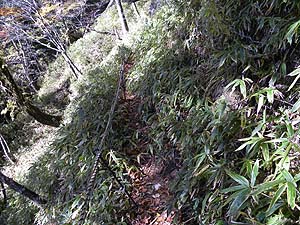 ���[�v�������Ă���