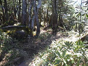 �������̗ǂ��ꏊ����̓o�R��